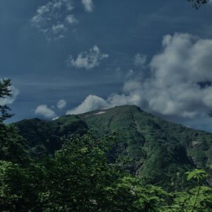 玉原湿原,湿原,群馬,水辺,池,