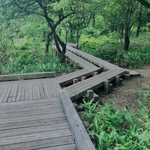 玉原湿原,湿原,群馬,水辺,池,