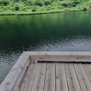 玉原湿原,湿原,群馬,水辺,池,