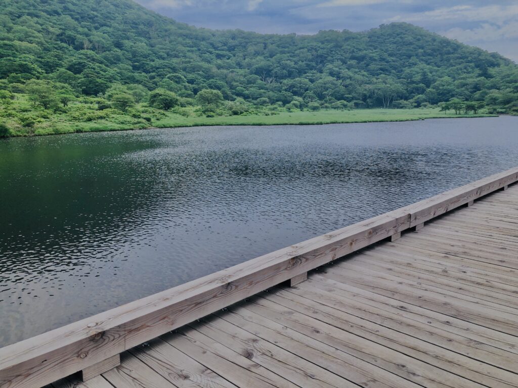 玉原湿原,湿原,群馬,水辺,池,