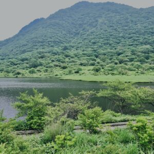 玉原湿原,湿原,群馬,水辺,池,