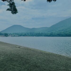 玉原湿原,湿原,群馬,水辺,池,