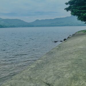 玉原湿原,湿原,群馬,水辺,池,