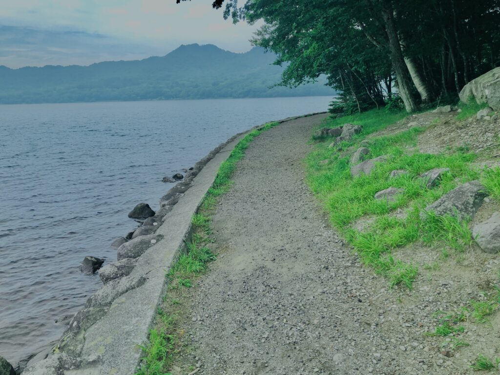 玉原湿原,湿原,群馬,水辺,池,