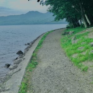 玉原湿原,湿原,群馬,水辺,池,