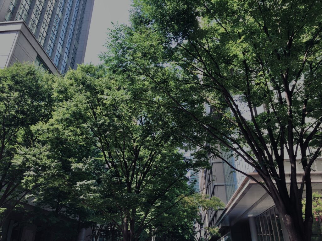 TOKYO,東京,都心,高層ビル,ビル,都会,