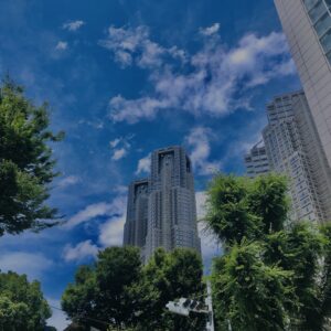 新宿,西新宿,都庁,TOKYO,東京,都心,高層ビル,ビル,都会,