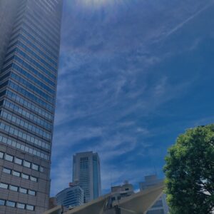 新宿,西新宿,都庁,TOKYO,東京,都心,高層ビル,ビル,都会,