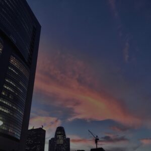 新宿,西新宿,TOKYO,東京,都心,高層ビル,ビル,都会,