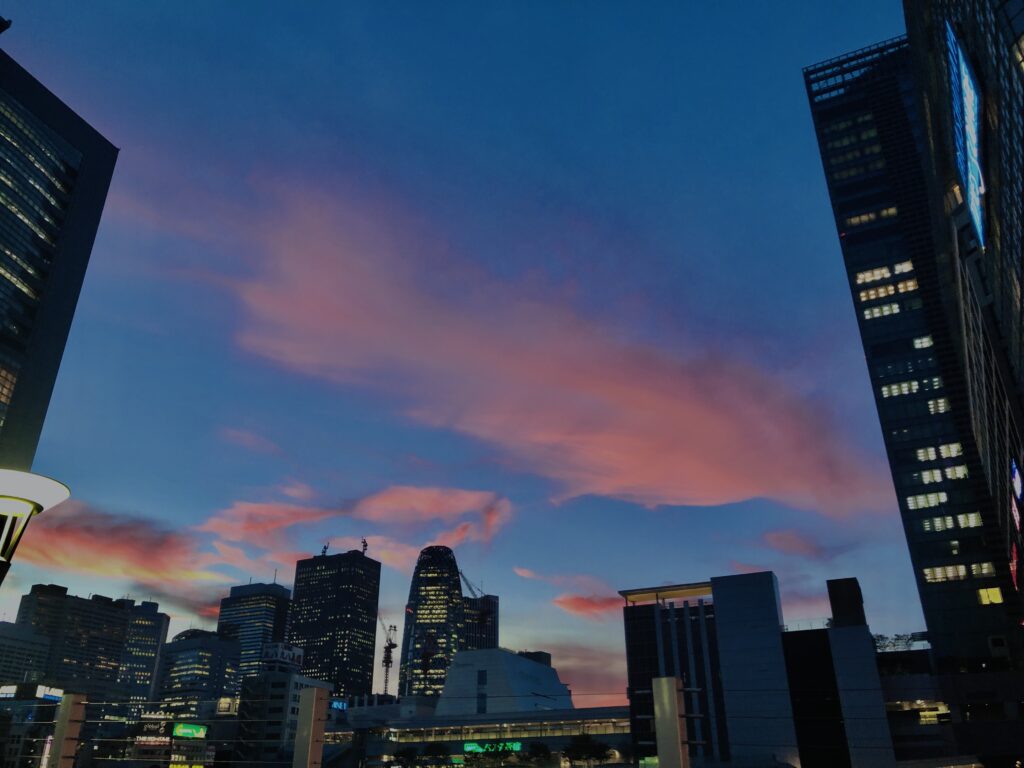 新宿,西新宿,TOKYO,東京,都心,高層ビル,ビル,都会,