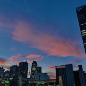 新宿,西新宿,TOKYO,東京,都心,高層ビル,ビル,都会,