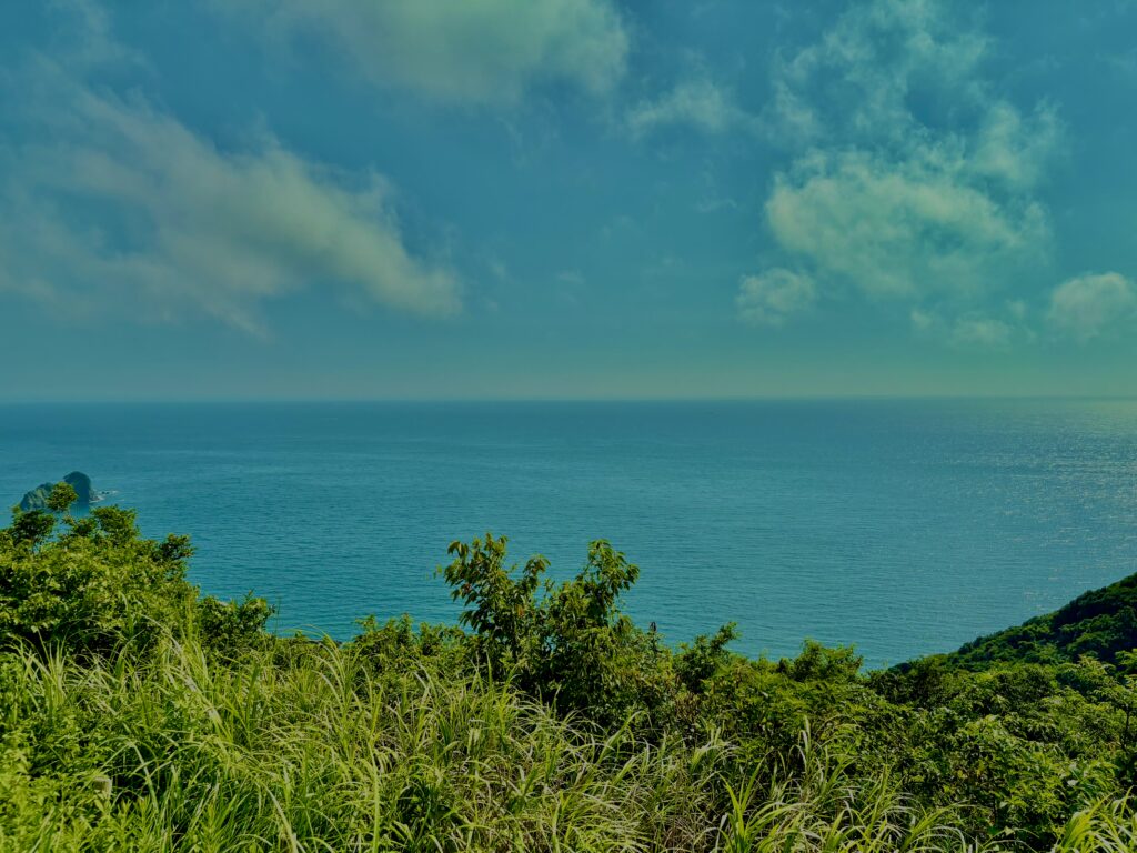 南伊豆,石廊崎,半島,海,空,
