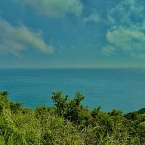 南伊豆,石廊崎,半島,海,空,