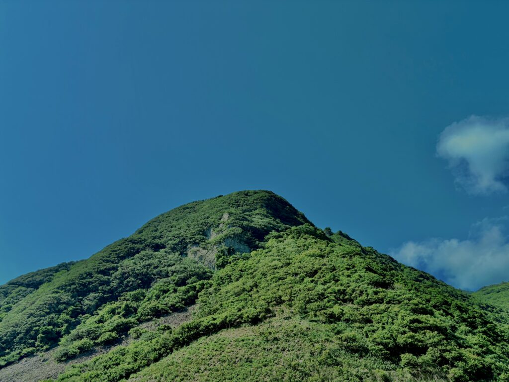 南伊豆,石廊崎,半島,海,空,