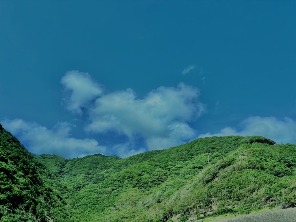 南伊豆,石廊崎,半島,海,空,