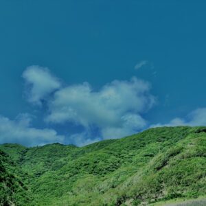 南伊豆,石廊崎,半島,海,空,