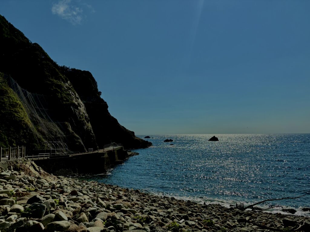 猿,波勝崎,野生動物,波勝崎モンキー,モンキー,ニホンザル,