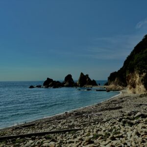 猿,波勝崎,野生動物,波勝崎モンキー,モンキー,ニホンザル,