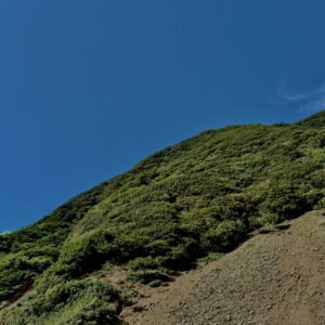 南伊豆,石廊崎,半島,海,空,