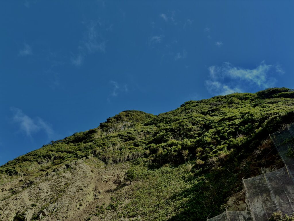南伊豆,石廊崎,半島,海,空,