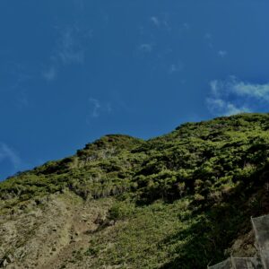 南伊豆,石廊崎,半島,海,空,