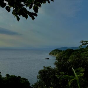 海,西伊豆,恋人岬,空,夕方,雲,