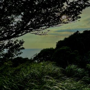 海,西伊豆,恋人岬,空,夕方,雲,