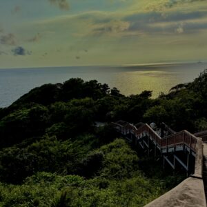海,西伊豆,恋人岬,空,夕方,雲,