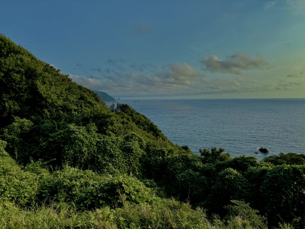 海,西伊豆,恋人岬,空,夕方,雲,