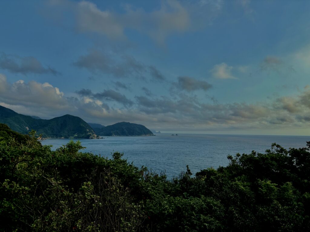 海,西伊豆,恋人岬,空,夕方,雲,