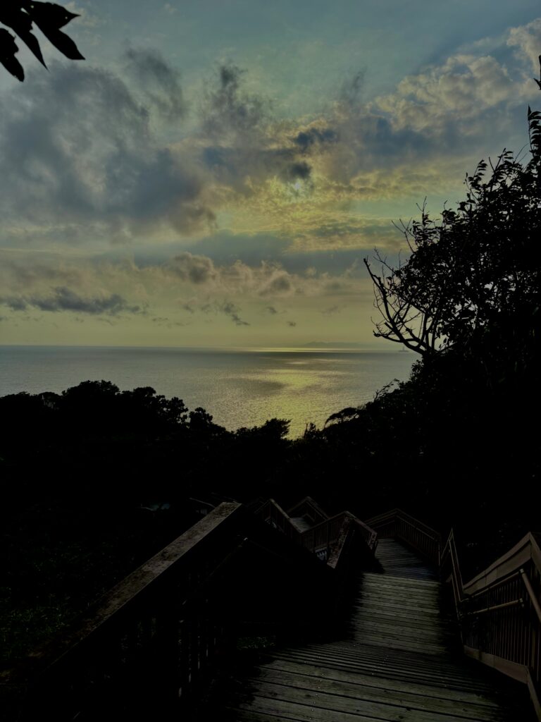 海,西伊豆,恋人岬,空,夕方,雲,