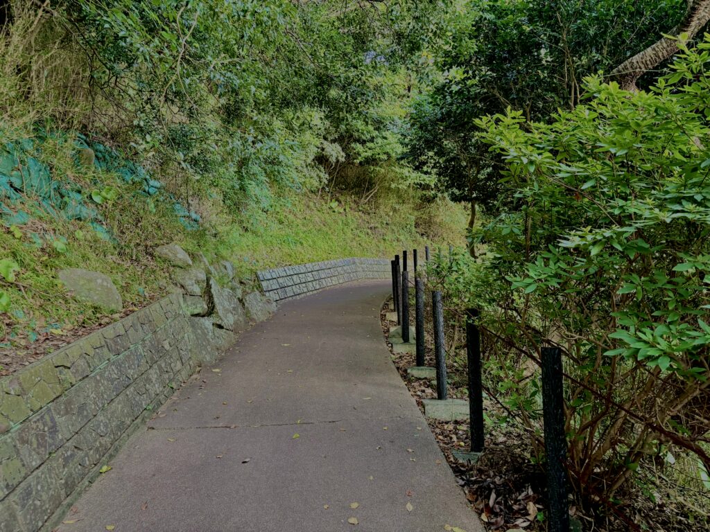 海,西伊豆,恋人岬,空,夕方,雲,