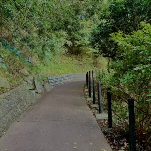 海,西伊豆,恋人岬,空,夕方,雲,