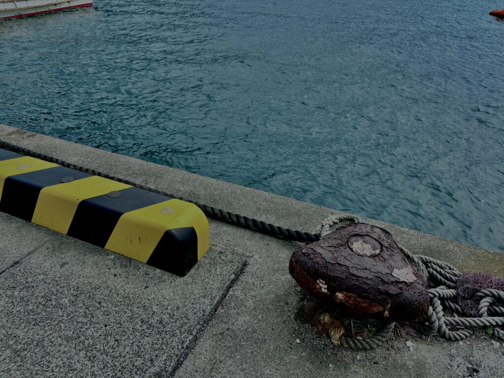 沼津,漁港,港,海,空,伊豆,