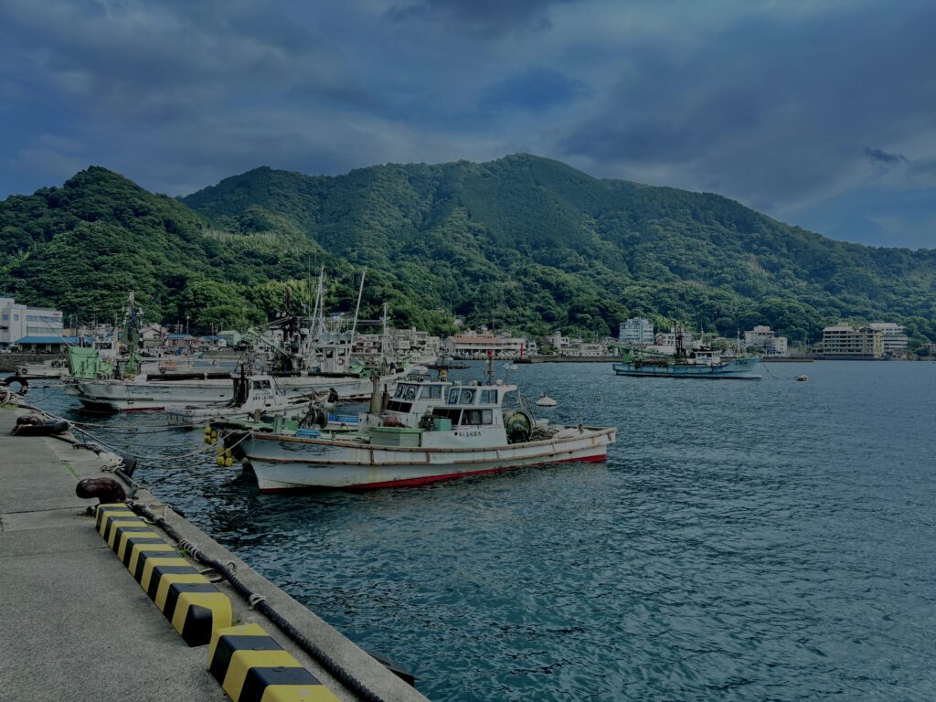 沼津,漁港,港,海,空,伊豆,