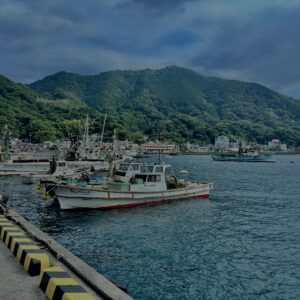 沼津,漁港,港,海,空,伊豆,