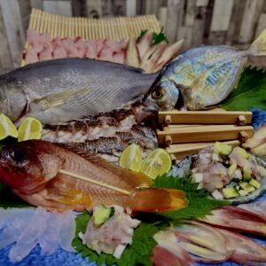 刺身,姿造り,イサキ,カイワリ,アカハタ,西浦海の幸,魚,釣り魚,