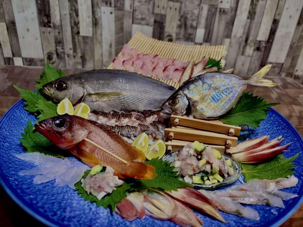 刺身,姿造り,イサキ,カイワリ,アカハタ,西浦海の幸,魚,釣り魚,