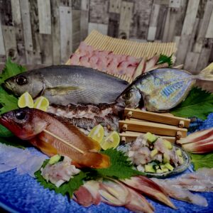 刺身,姿造り,イサキ,カイワリ,アカハタ,西浦海の幸,魚,釣り魚,