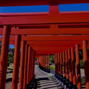 【資料用非配布】高山稲荷神社,青森,鳥居,自然,つがる半島,千本鳥居,