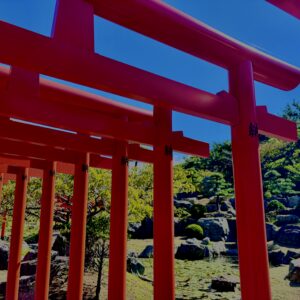 【資料用非配布】高山稲荷神社,青森,鳥居,自然,つがる半島,千本鳥居,