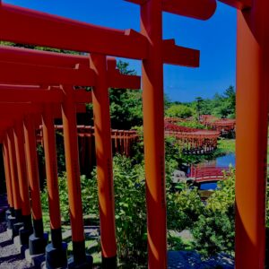 【資料用非配布】高山稲荷神社,青森,鳥居,自然,つがる半島,千本鳥居,