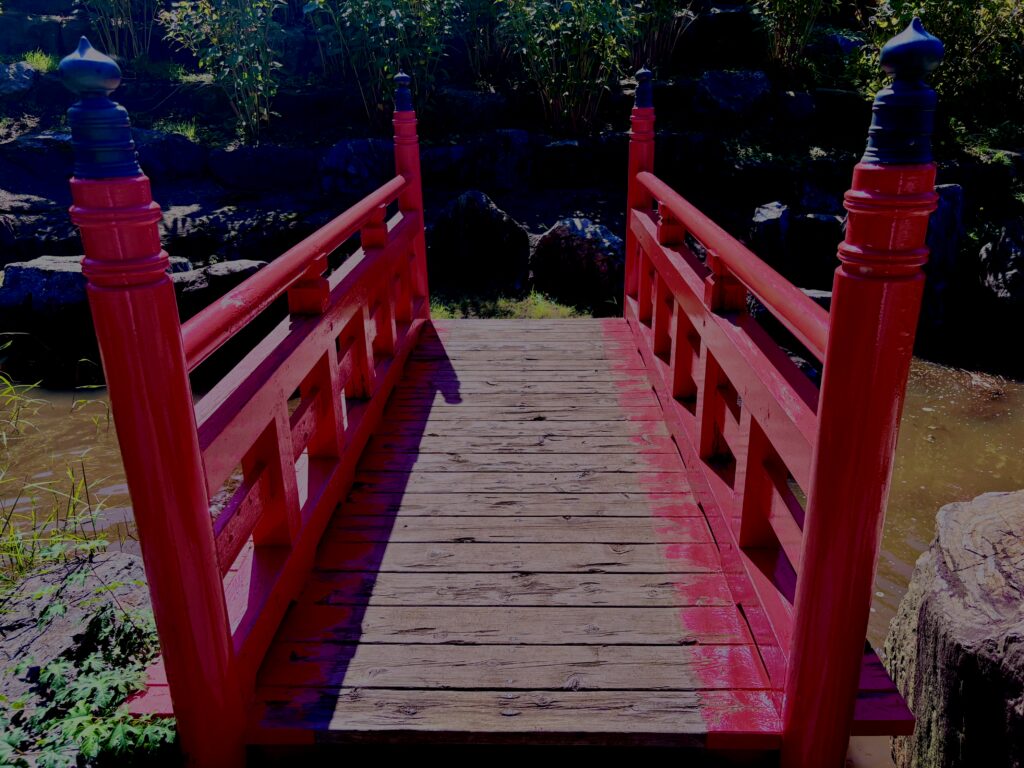 【資料用非配布】高山稲荷神社,青森,鳥居,自然,つがる半島,千本鳥居,