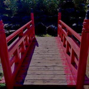 【資料用非配布】高山稲荷神社,青森,鳥居,自然,つがる半島,千本鳥居,