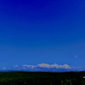 青森,八戸,風景,池,空,田舎,