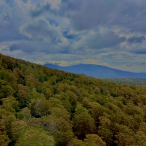八甲田山,日本百名山,青森県,山,登山,ロープウェイ,
