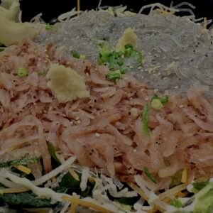 enoshima food, shirasu bowl, tobiccho enoshima, enoshima seafood, japan food review