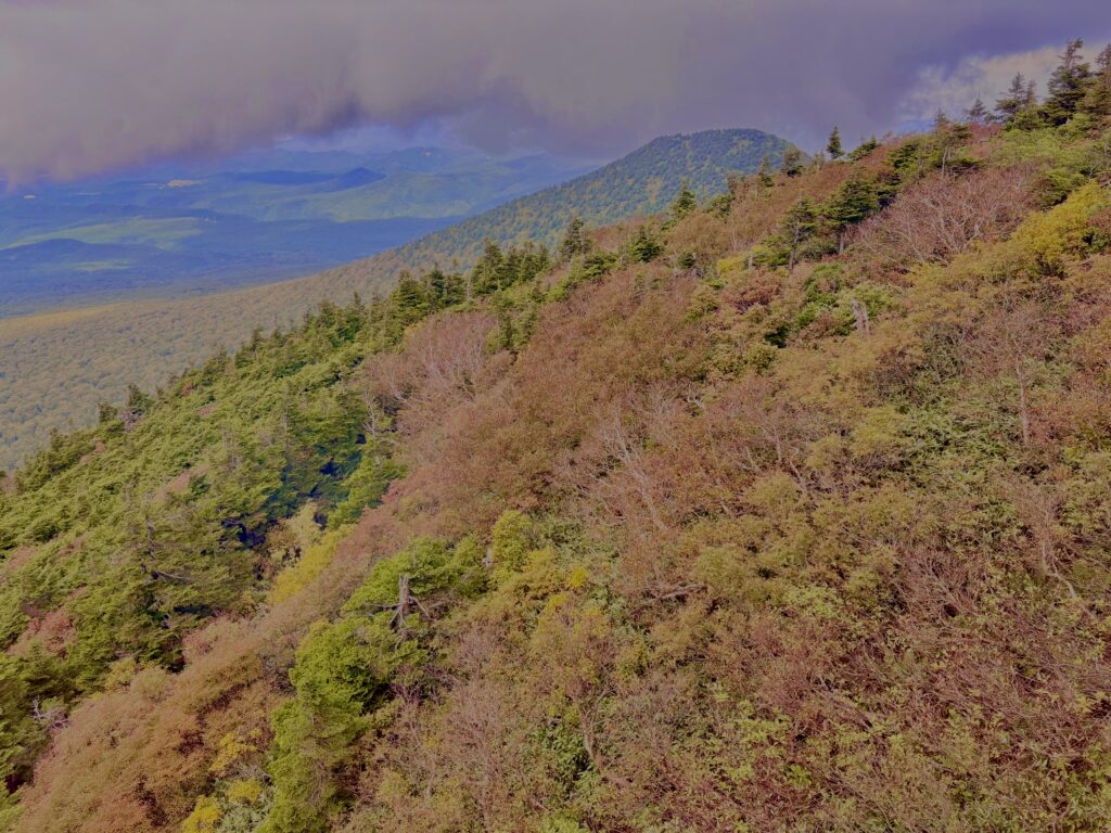 八甲田山,日本百名山,青森県,山,登山,