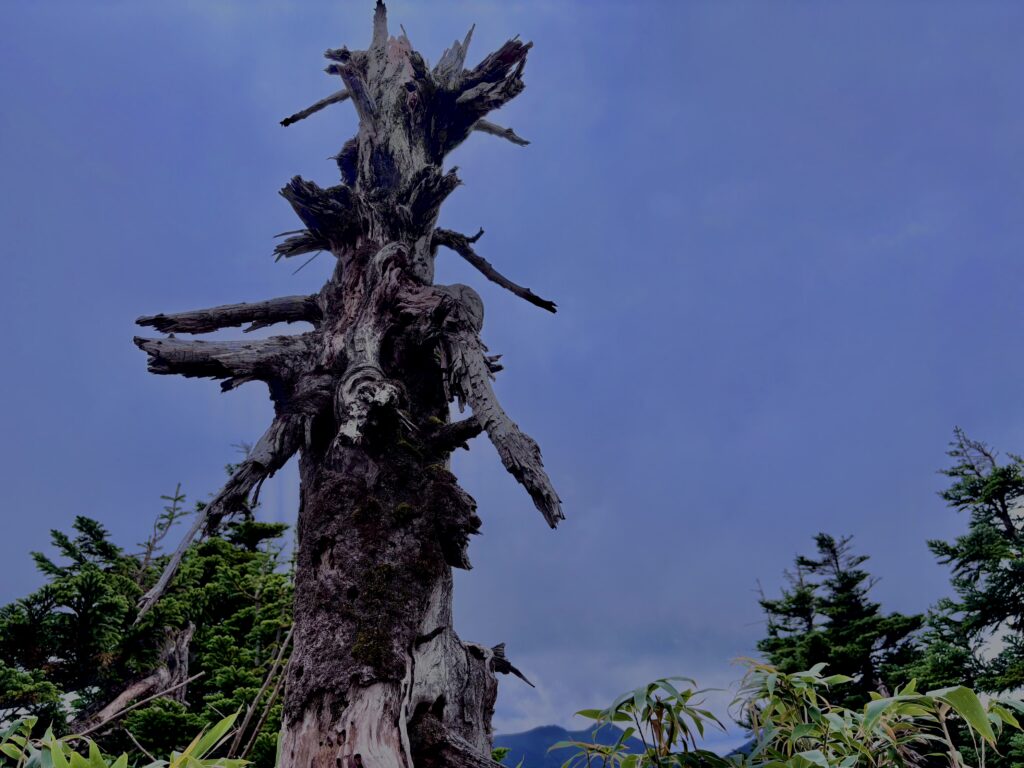 八甲田山,日本百名山,青森県,山,登山,
