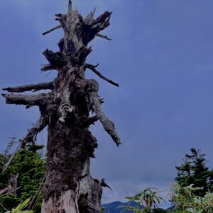 八甲田山,日本百名山,青森県,山,登山,